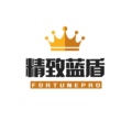 精致蓝盾数码