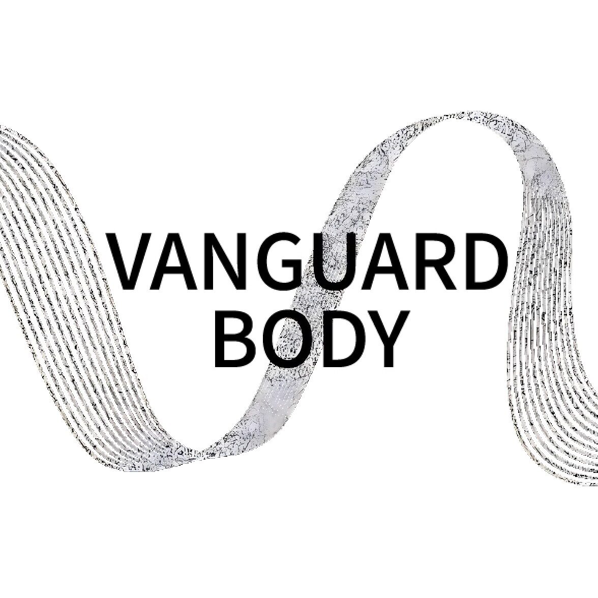 VANGUARD BODY