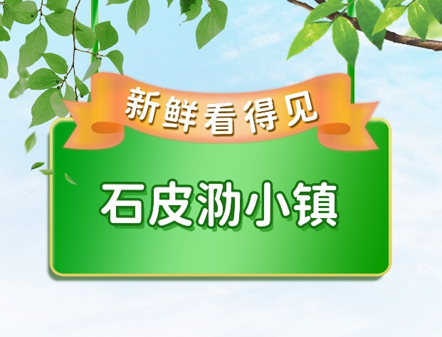 南汇石皮泐小镇