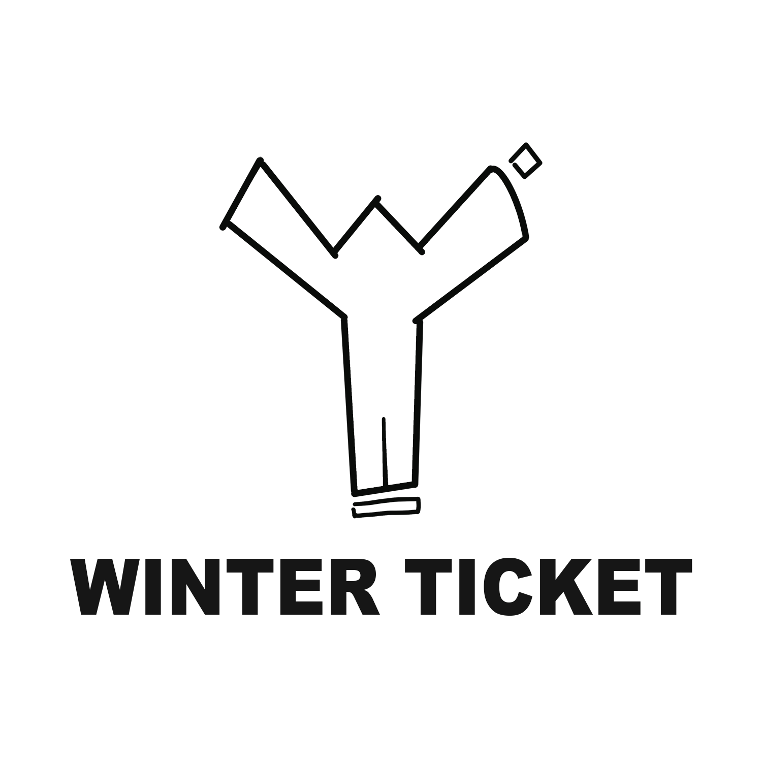 WINTER TICKET企业店 店铺LOGO