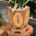 泥雅斋精品紫砂花盆