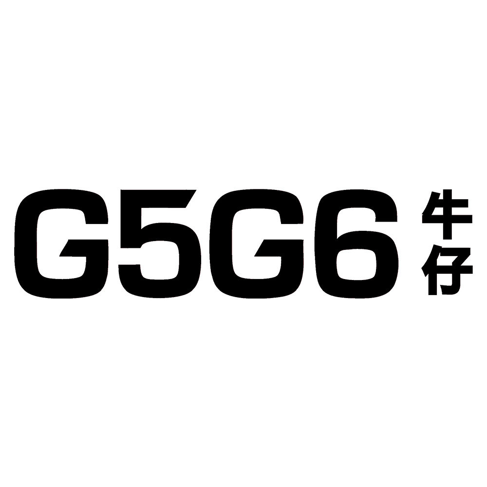 G5G6企业店