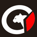 传奇台球杆 店铺LOGO