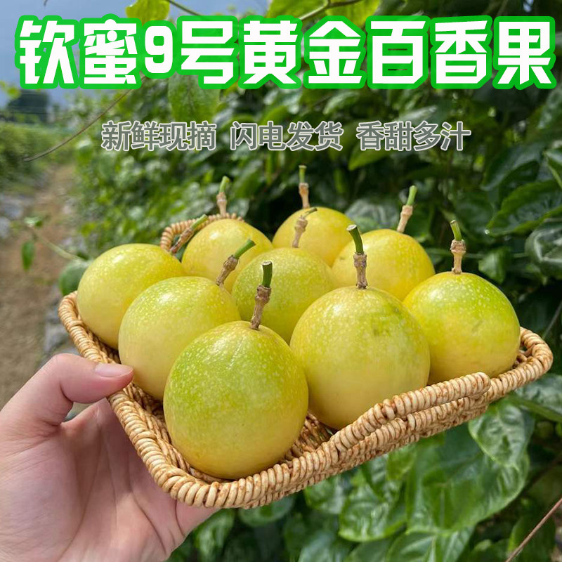 香熙果园