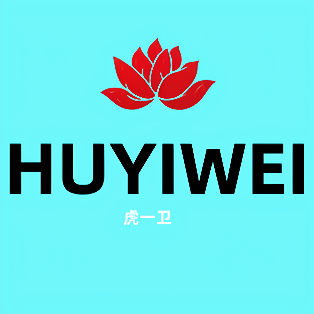 HUYIWEI智能电子教育店
