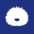 downyball毛球殿下旗舰店