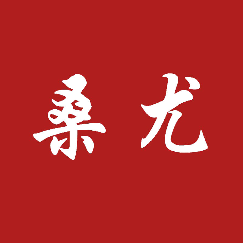 桑尤旗舰店