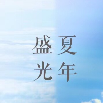 盛夏光年跨境工厂 店铺LOGO
