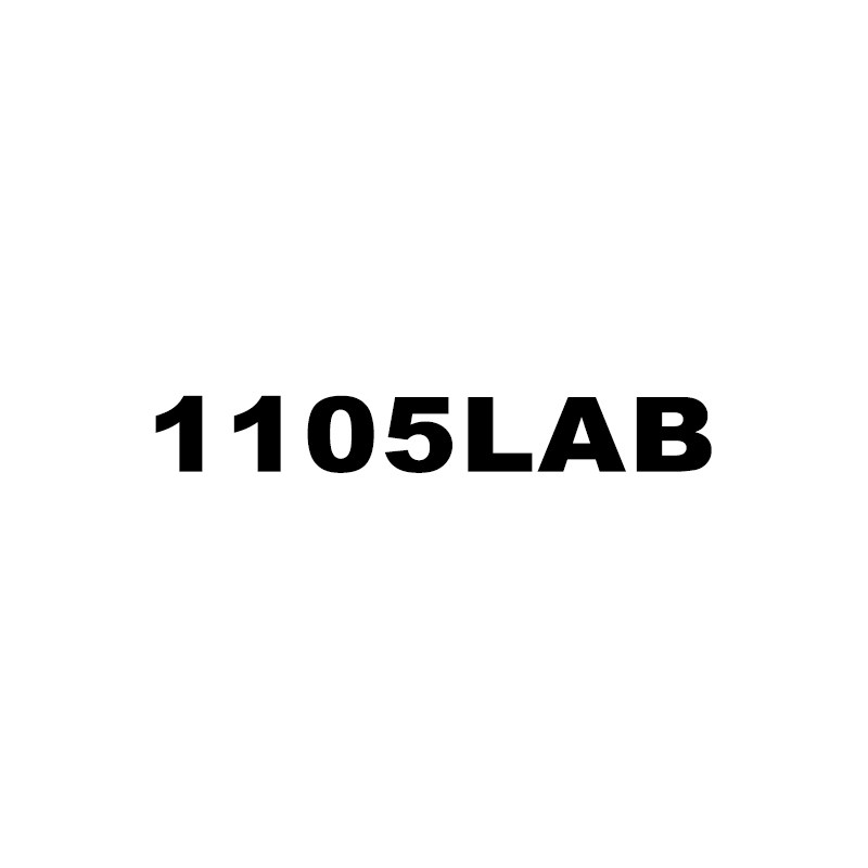 1105LAB