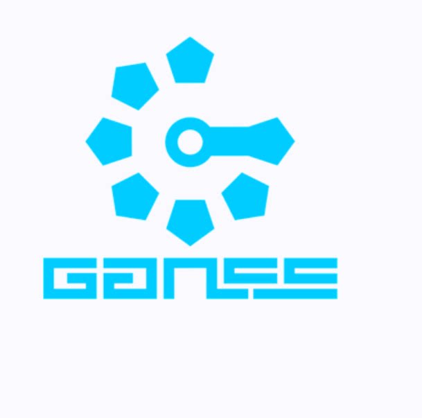 ganss机械键盘企业店