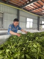 益鼎益茶厂