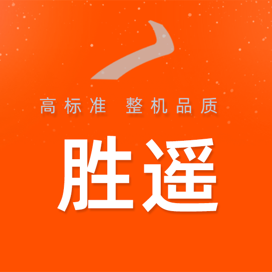 胜遥旗舰店