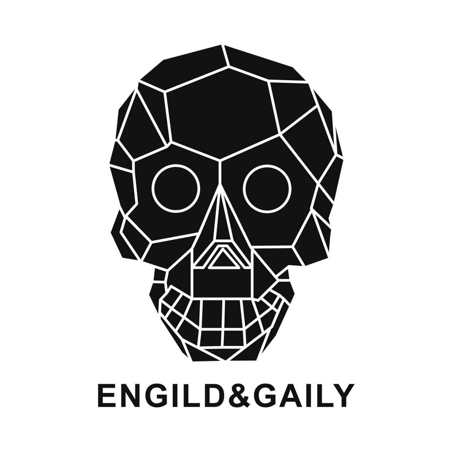 金刚铁甲ENGILDGAILY