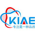 kiae旗舰店