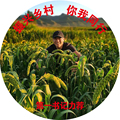 山西农家特产杂粮店