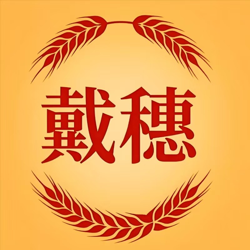 戴穗旗舰店