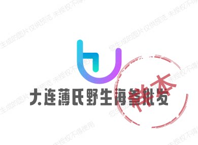 大连薄氏海参批发