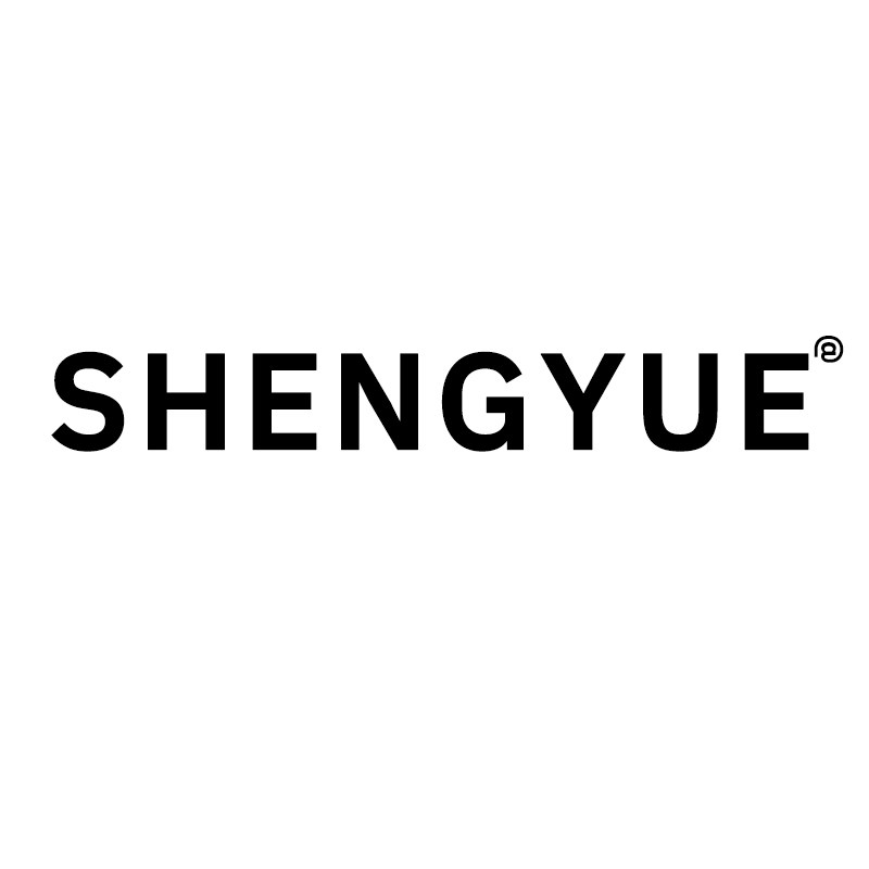 昇越潮鞋企业店