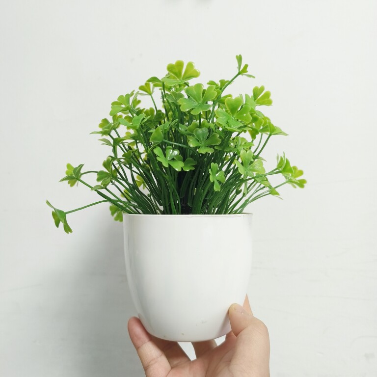 创意家居家饰