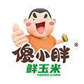 傻小胖旗舰店