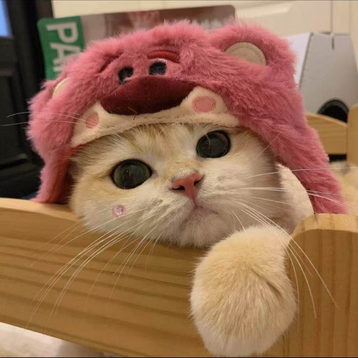 心宠 小筑