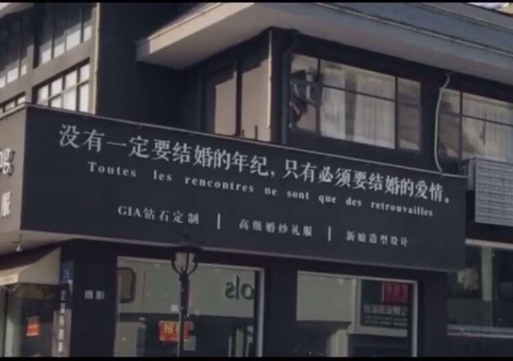 散养的猫 店铺LOGO