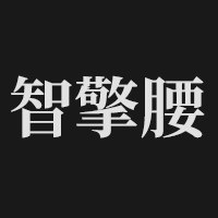 智擎腰品牌店