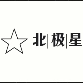 北极星科技店 店铺LOGO
