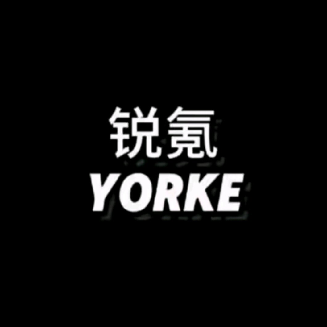 锐氪口喷YORKE