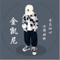 金凯尼门业