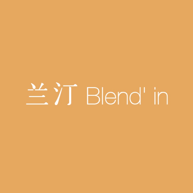 Blendin兰汀 店铺LOGO