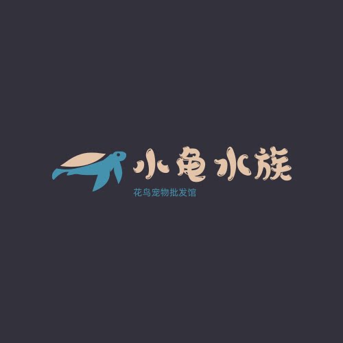 小龟水族宠物馆