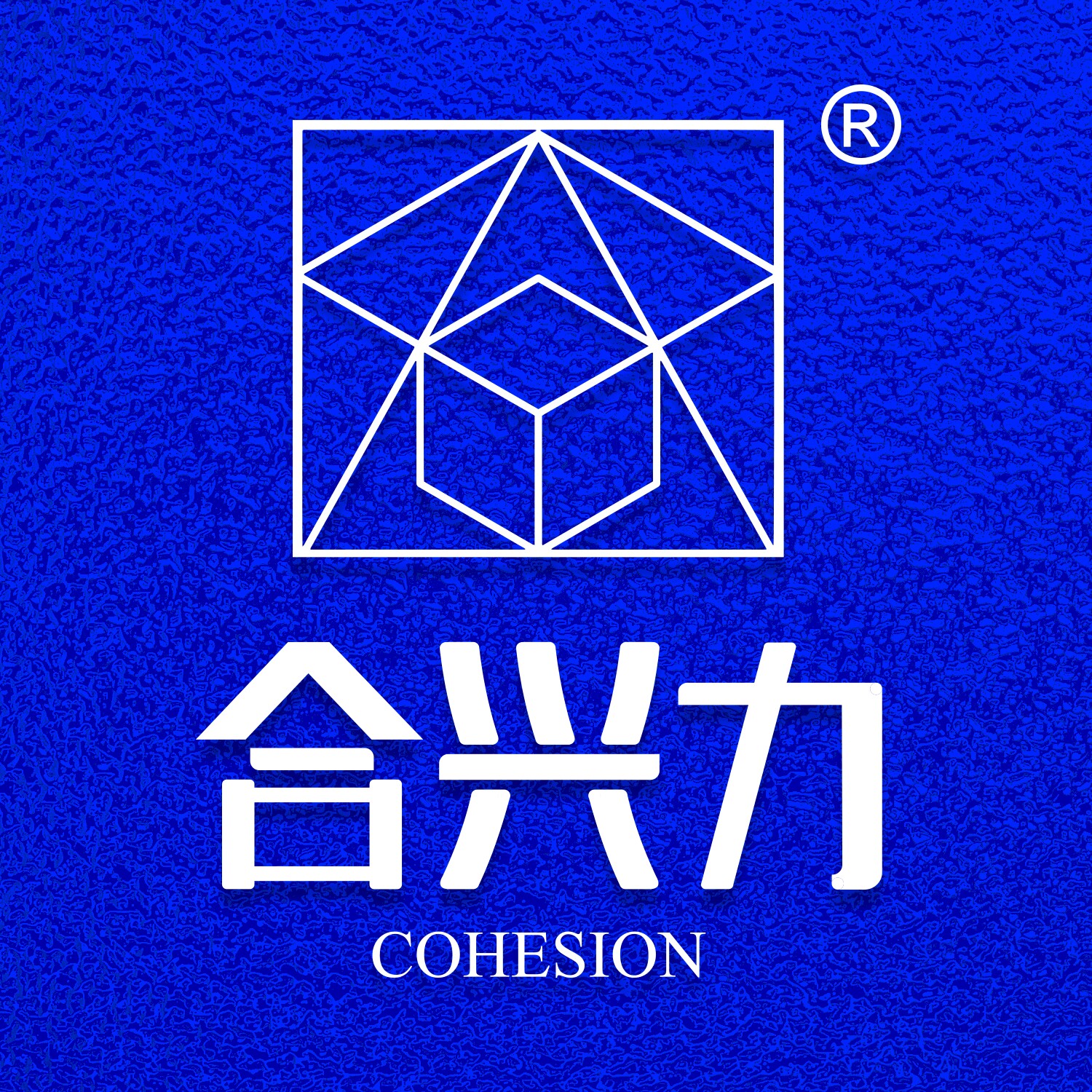 cohesion合兴力旗舰店