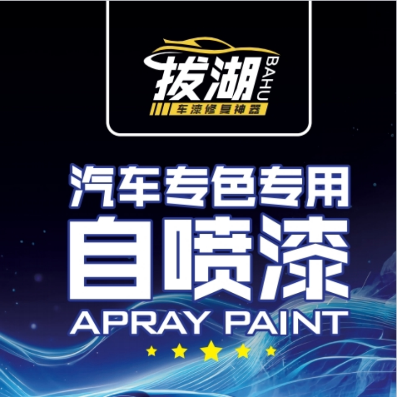 拔湖汽车自喷漆店