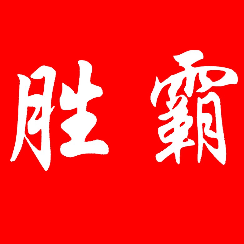 胜霸旗舰店
