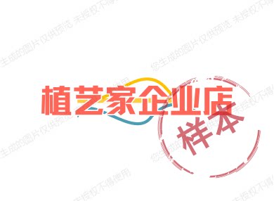 多肉微景观