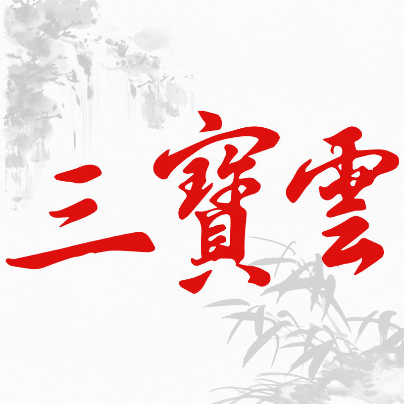 三宝云鹏记专卖店