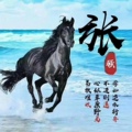 兴富贸易有限公司