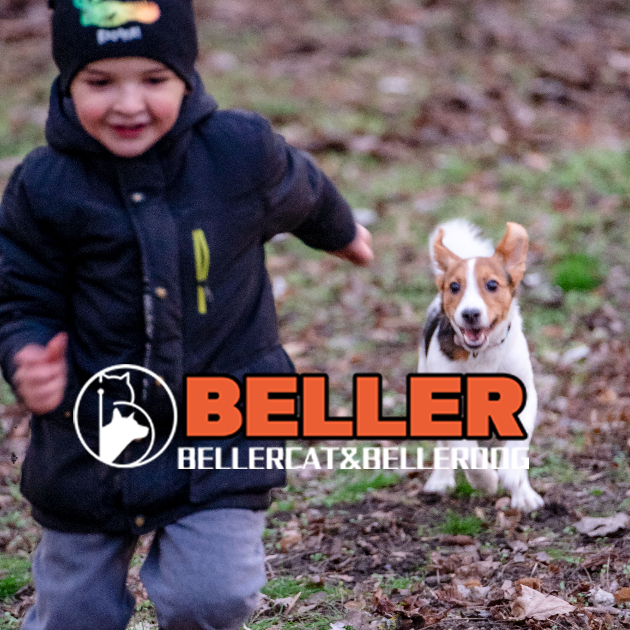 BELLERCAT猫贝勒旗舰店