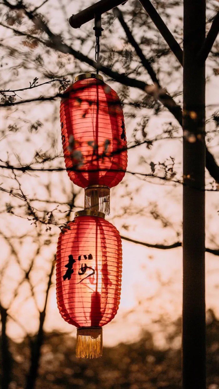 南京传统味道 店铺LOGO