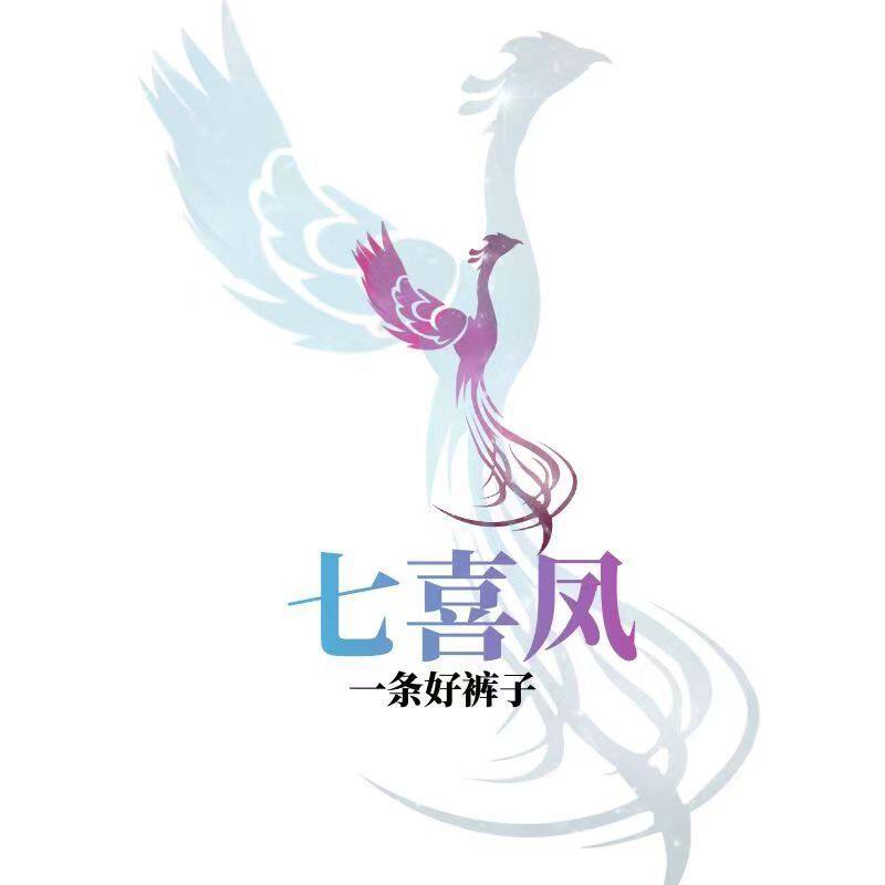 七喜凤女装十二店