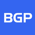 BGP行业报告 店铺LOGO