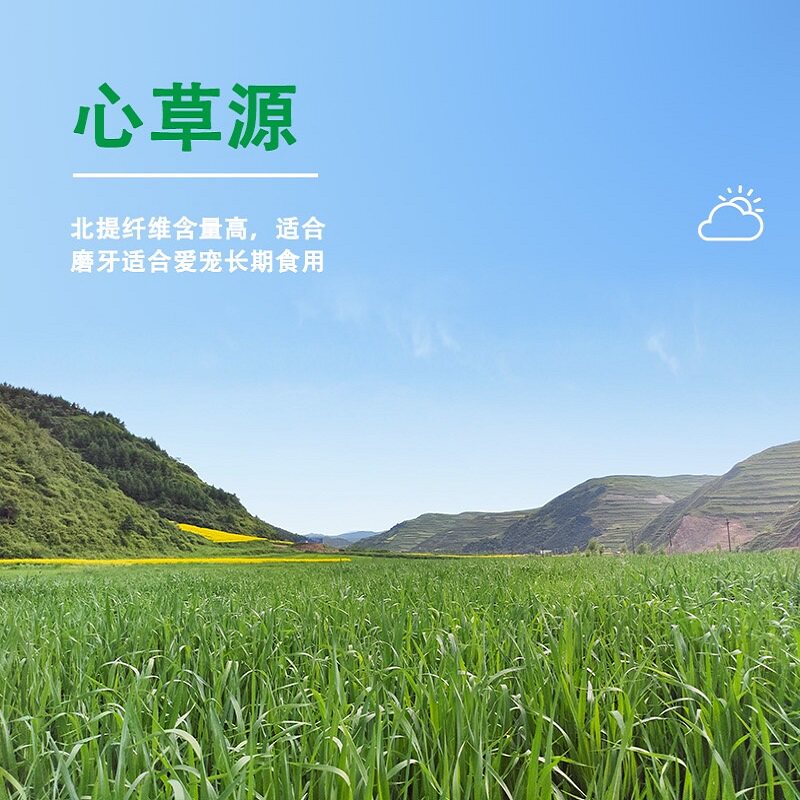 心草源的小店