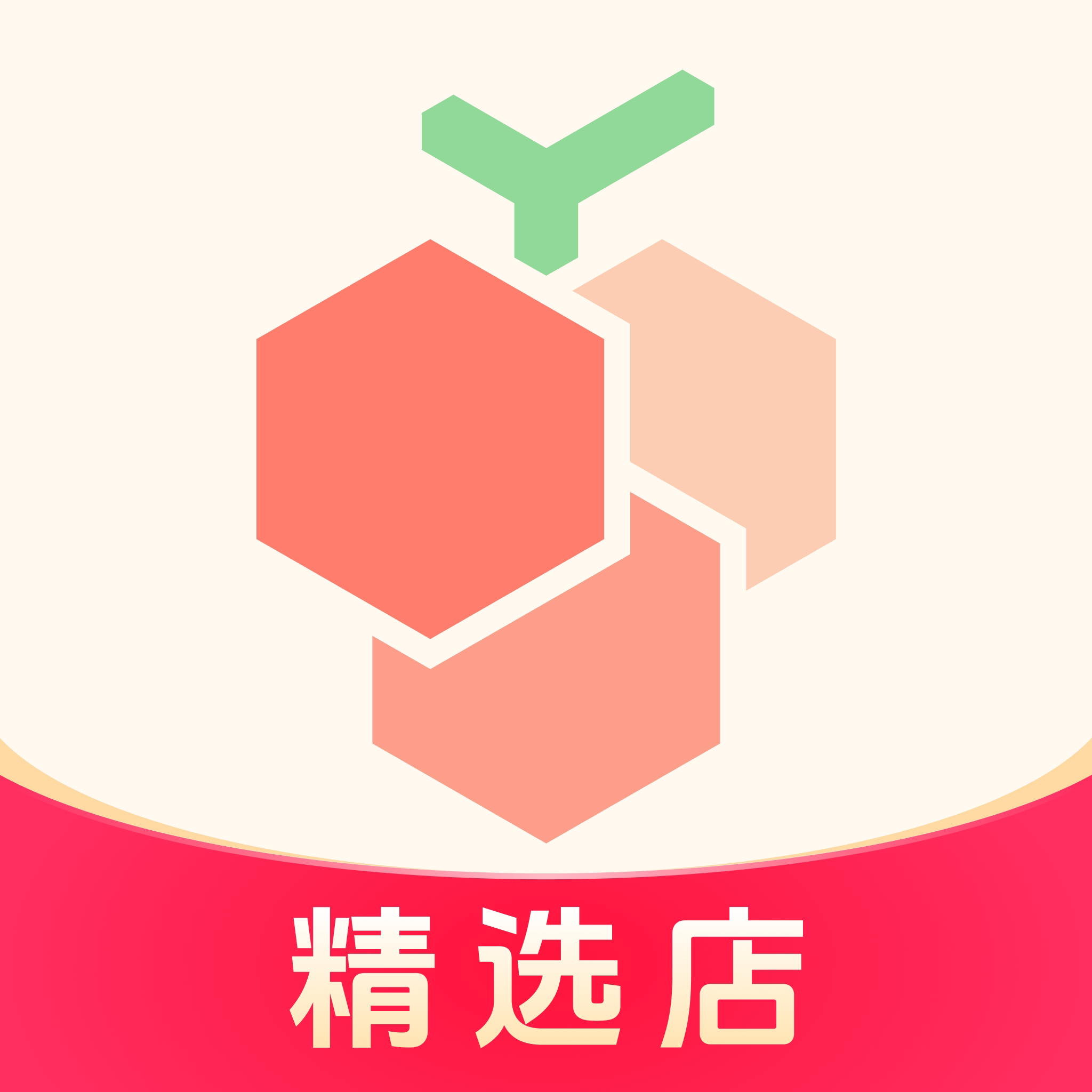 数码荔枝精选店