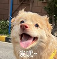 有仁Yren工厂