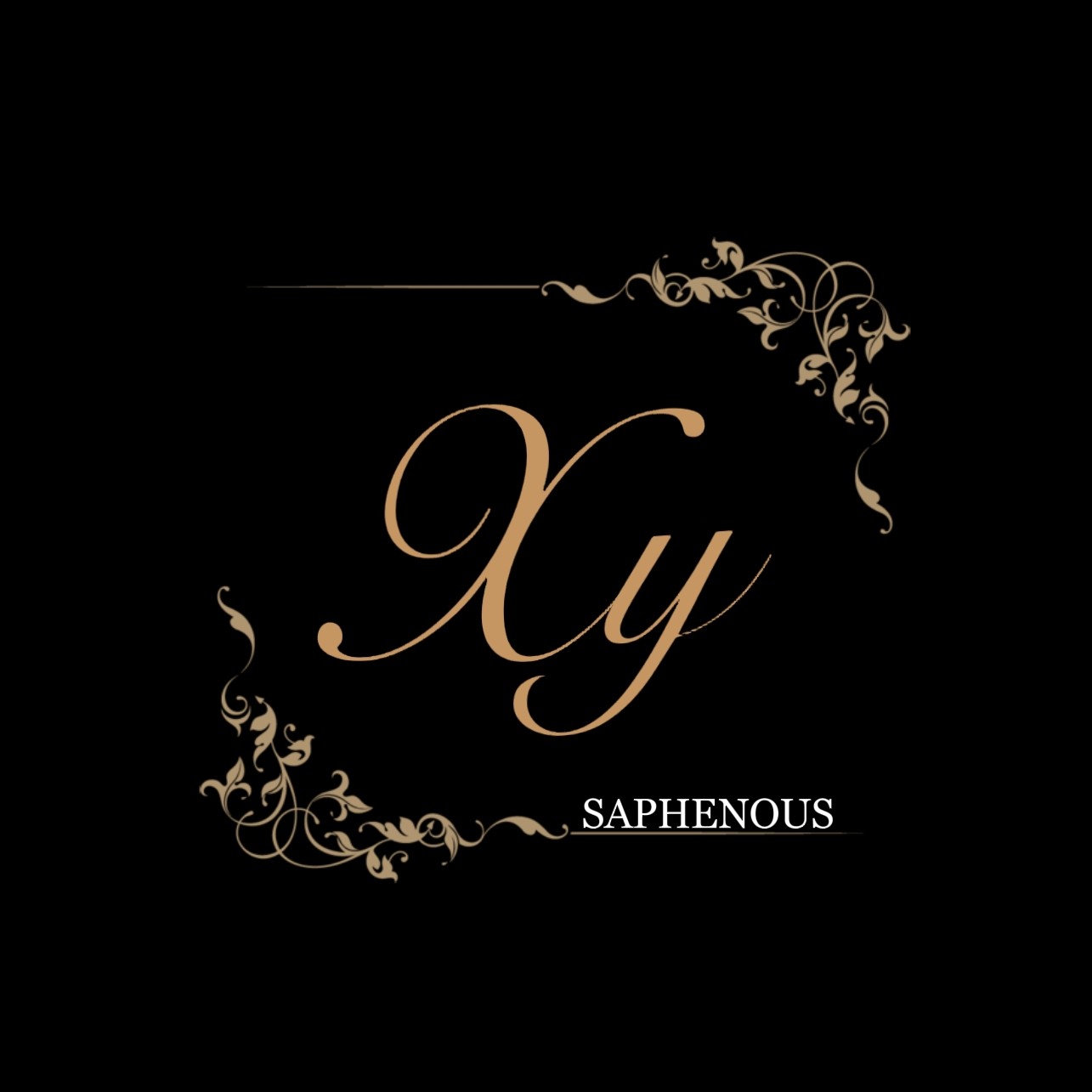 小隐SAPHENOUS 店铺LOGO