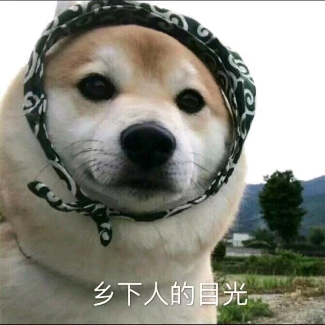 我不是土狗