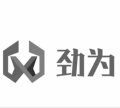 劲为旗舰店