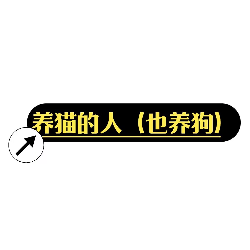 养猫的人