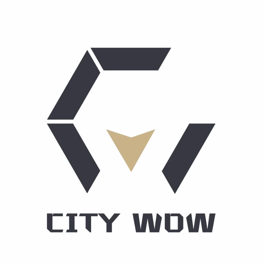 Citywow摩品定制